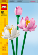 40647 LEGO® Iconic Lootoseõied