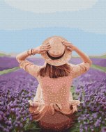BRUSHME värvi numbrite järgi  Traveler in a lavender field, BS37568