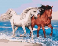 BRUSHME värvi numbrite järgi  Horses on the coast, BS51568