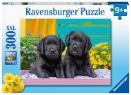 RAVENSBURGER pusle Puppy Life, 300tk, 12950