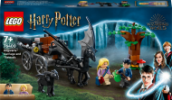 76400 LEGO® Harry Potter™ Sigatüüka™ tõld ja testralid