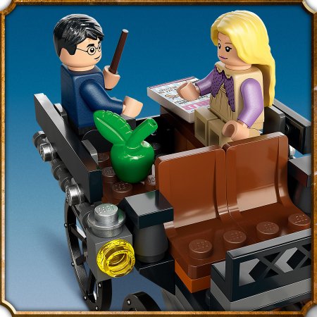 76400 LEGO® Harry Potter™ Sigatüüka™ tõld ja testralid 76400